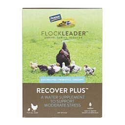 FlockLeader Recover Plus for Chickens  Flockleader